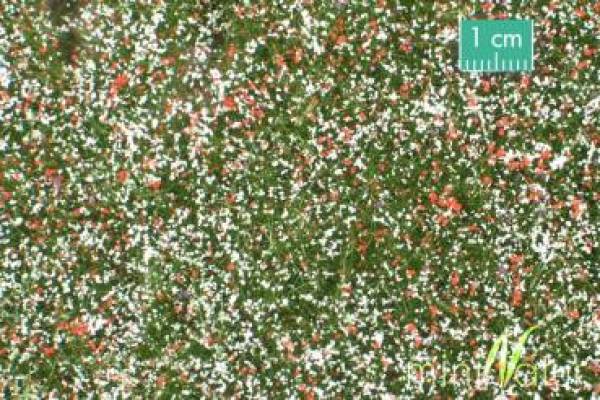 Naturwiese hoch, Sommer